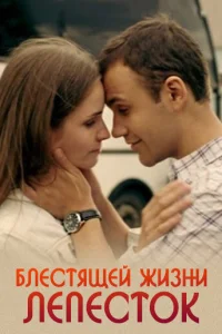 Обложка Блестящей жизни лепесток 2017